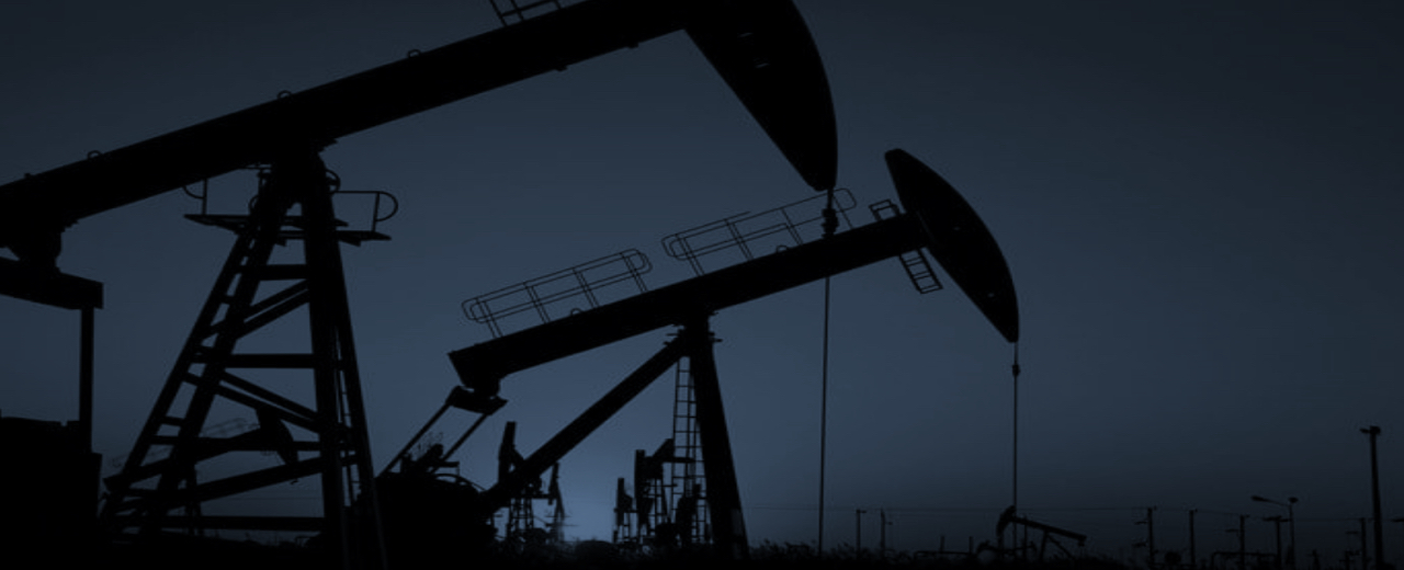 Agência Nacional de Petróleo, Gás natural e Bicombustíveis