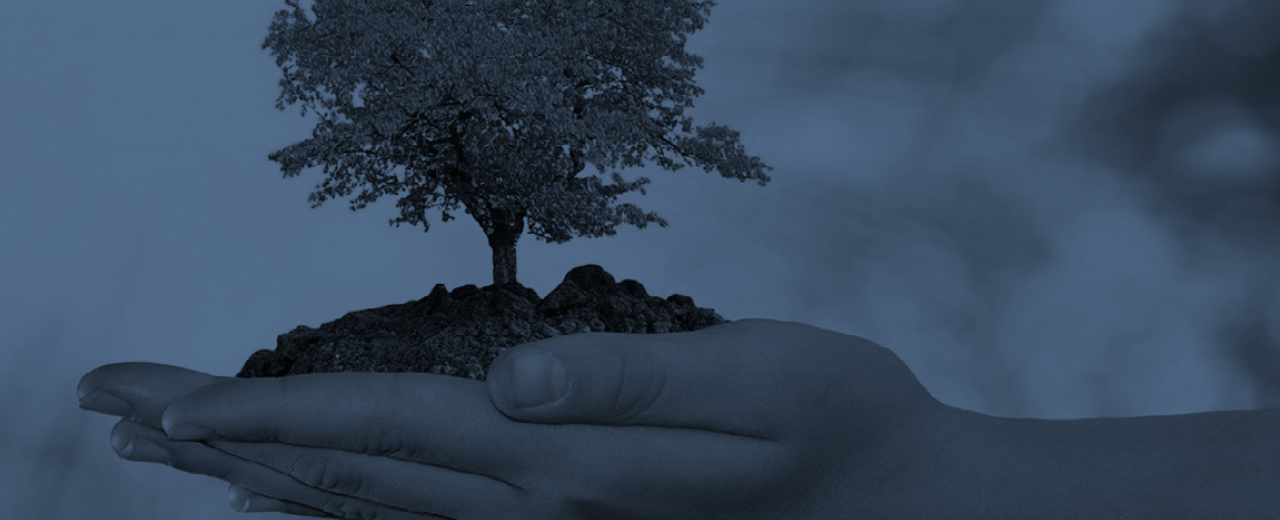 Licenciamento Ambiental